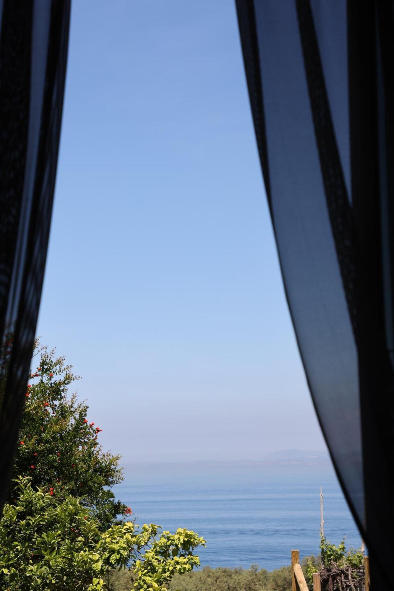 Fondo Puolo- Con Grande Giardino Vicino Al Mare * Sorrento